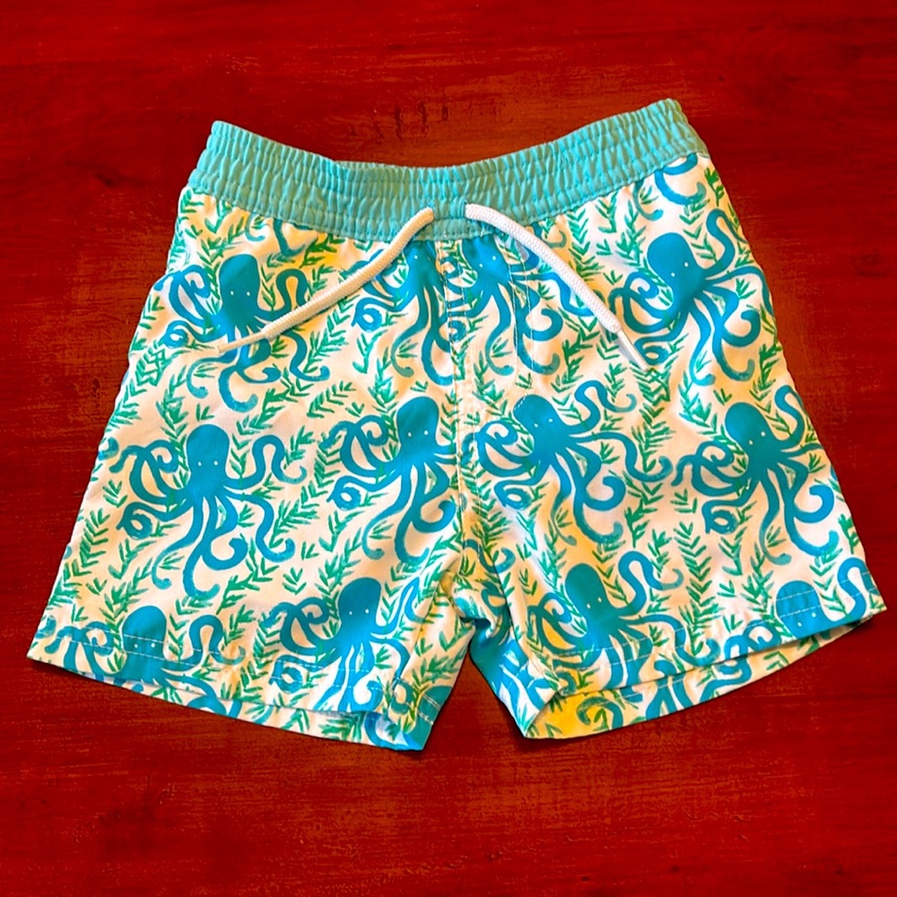 Swim trunks. Baby size 12 months. Used in great condition.